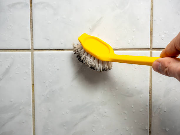 Best Office Mold Removal Services  in Pine Island, TX