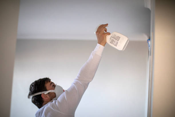Professional Mold Removal in Pine Island, TX