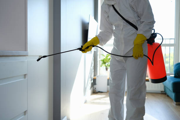 Best Mold Cleaning Services  in Pine Island, TX