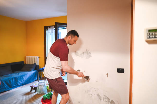 Best Mold Damage Repair  in Pine Island, TX